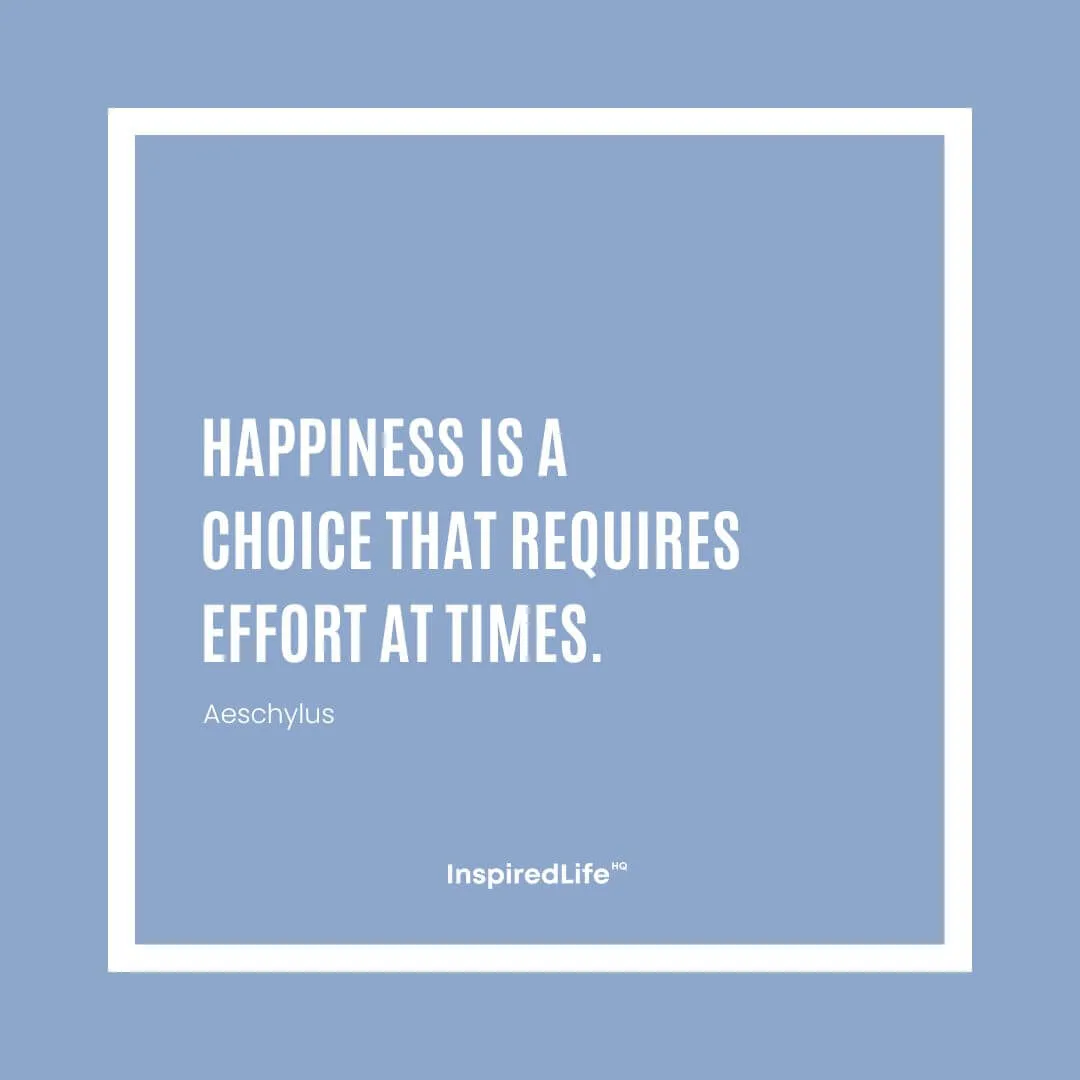 26 - pursuit of happiness quotes